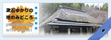 漱石ゆかりの地のみどころ