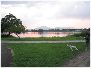 江津湖